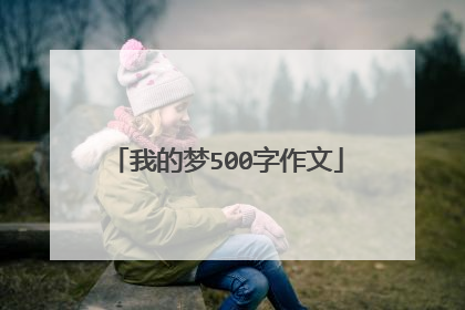 我的梦500字作文