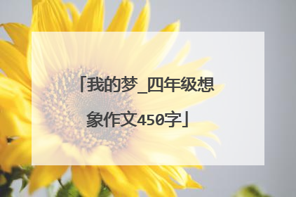 我的梦_四年级想象作文450字
