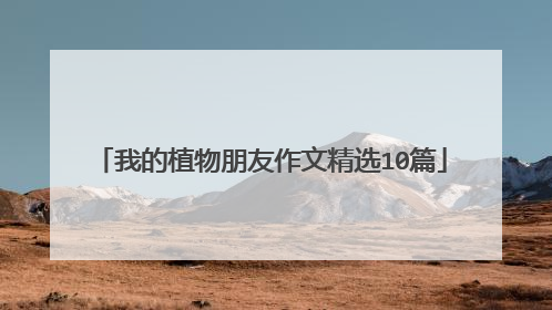 我的植物朋友作文精选10篇