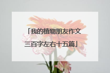 我的植物朋友作文三百字左右十五篇