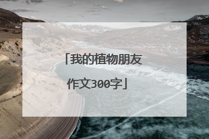 我的植物朋友作文300字