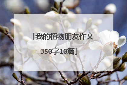 我的植物朋友作文350字10篇