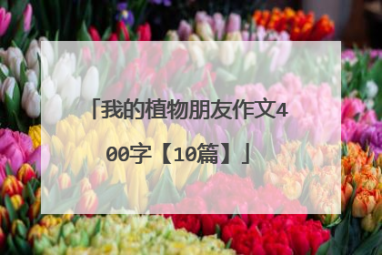 我的植物朋友作文400字【10篇】