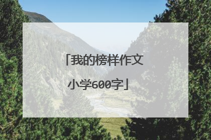 我的榜样作文小学600字