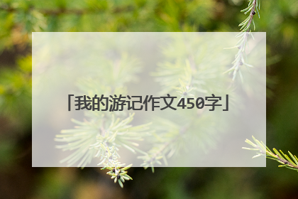 我的游记作文450字