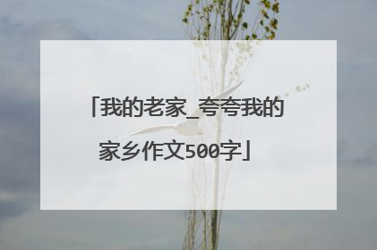 我的老家_夸夸我的家乡作文500字
