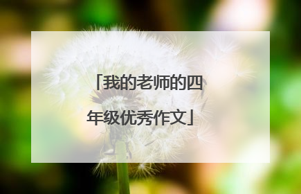 我的老师的四年级优秀作文