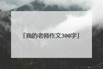 我的老师作文300字