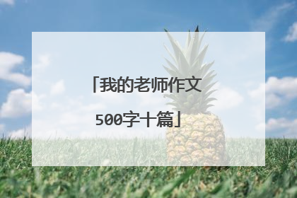 我的老师作文500字十篇