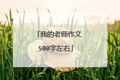 我的老师作文500字左右