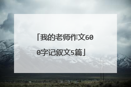 我的老师作文600字记叙文5篇