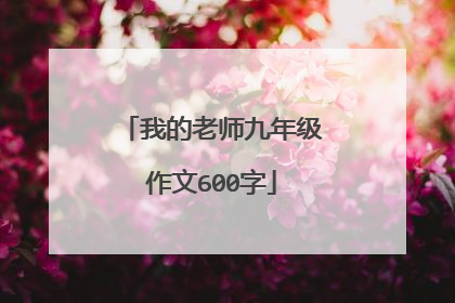 我的老师九年级作文600字