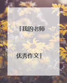 我的老师优秀作文