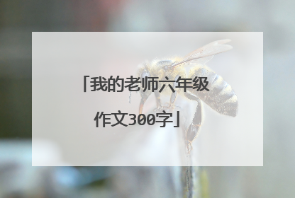 我的老师六年级作文300字