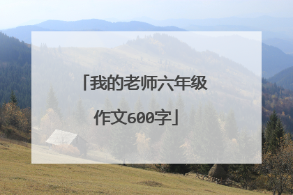 我的老师六年级作文600字
