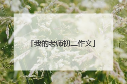 我的老师初二作文