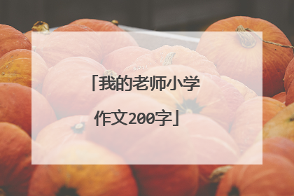 我的老师小学作文200字