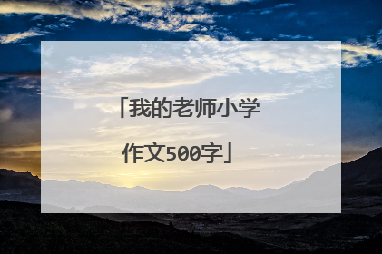 我的老师小学作文500字