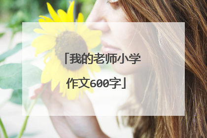 我的老师小学作文600字