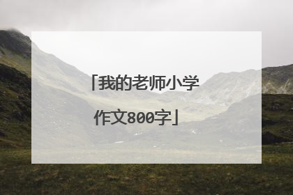 我的老师小学作文800字