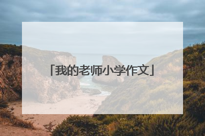 我的老师小学作文