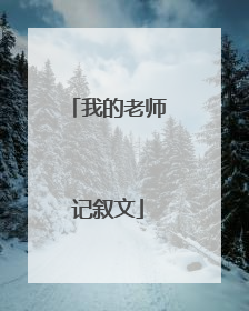 我的老师记叙文