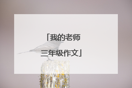 我的老师 三年级作文