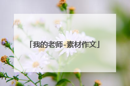 我的老师-素材作文