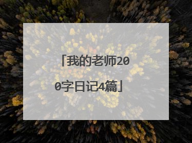 我的老师200字日记4篇