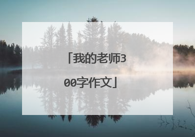 我的老师300字作文