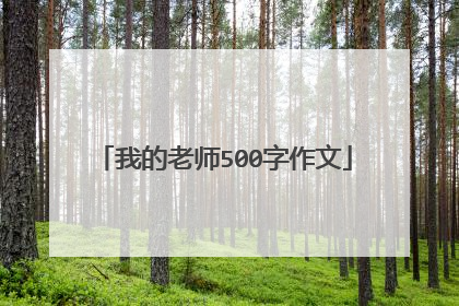 我的老师500字作文