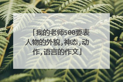 我的老师500要表人物的外貌,神态,动作,语言的作文