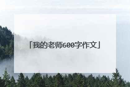我的老师600字作文