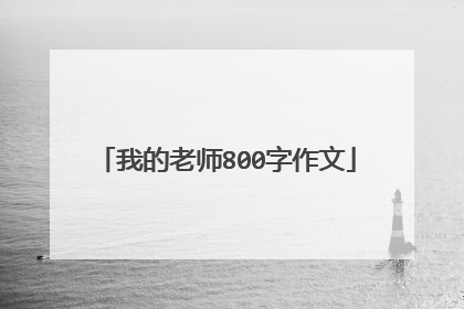 我的老师800字作文