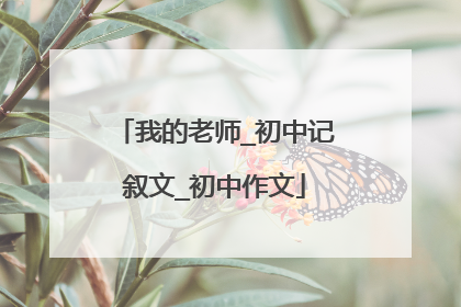 我的老师_初中记叙文_初中作文