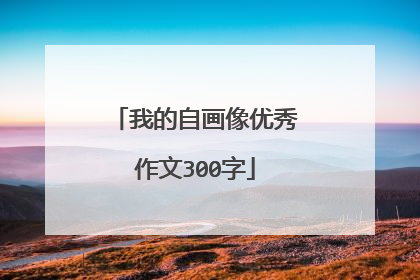 我的自画像优秀作文300字