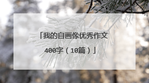 我的自画像优秀作文400字（10篇）