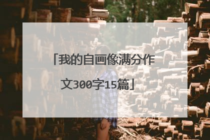 我的自画像满分作文300字15篇