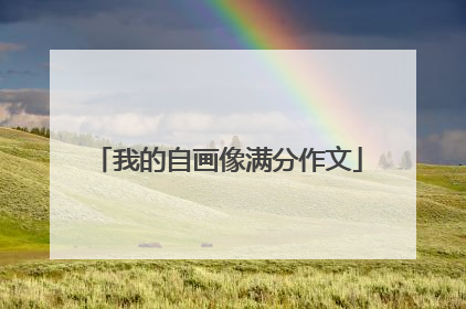 我的自画像满分作文