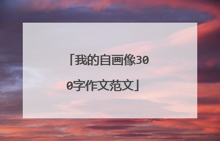 我的自画像300字作文范文