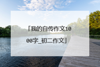 我的自传作文1000字_初二作文