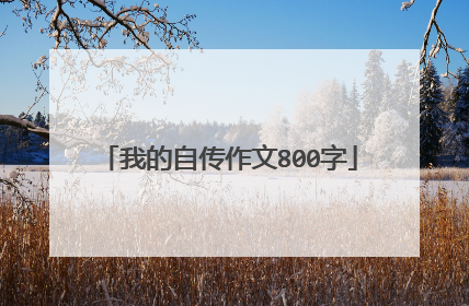我的自传作文800字