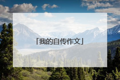 我的自传作文