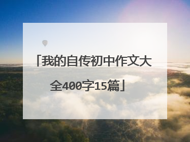 我的自传初中作文大全400字15篇