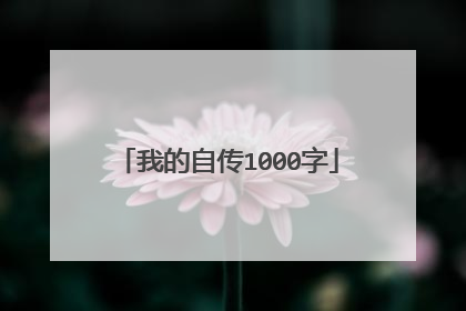 我的自传1000字