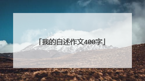 我的自述作文400字