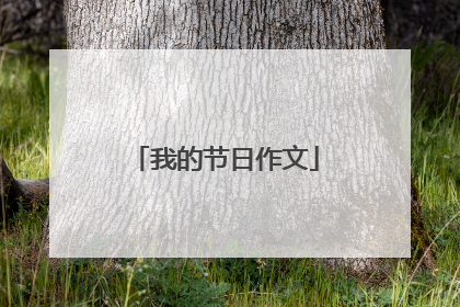 我的节日作文