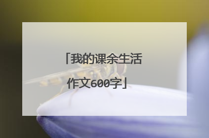 我的课余生活作文600字