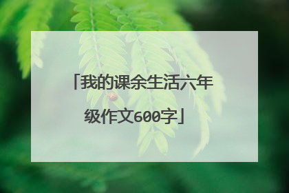 我的课余生活六年级作文600字