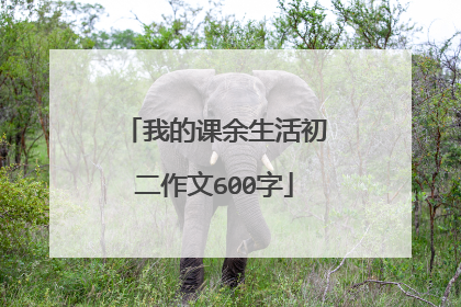 我的课余生活初二作文600字